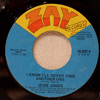 JESSE JAMES - I KNOW I'LL NEVER FIND ANOTHER ONE / AT LAST
