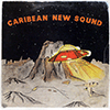CARIBEAN NEW SOUND - SAME