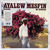 AYALEW MESFIN: HASABE - MY WORRIES