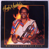 HUGH MASEKELA - WAITING FOR THE RAIN