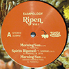SAMPOLOGY - RIPEN VOL.1