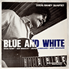 DOUG RANEY QUARTET - BLUE AND WHITE