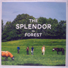 SPLENDOR - FOREST