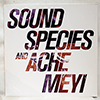 SOUNDSPECIES &AMP; ACHE MEYI - SAME
