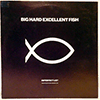 BIG HARD EXCELLENT FISH - IMPERFECT LIST