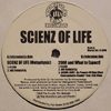 SCIENZ OF LIFE - SCIENZ OF LIFE (METAPHYSIC) / 2000 AND WHAT TO EXPECT!