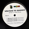 DAMIAN MARLEY - WELCOME TO JAMROCK / LYRICAL .44 (DANCEHALL REMIX)