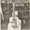 BIG JOE WILLIAMS - NINE STRING GUITAR BLUES