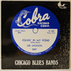 VARIOUS - FISHIN' IN MY POND (CHICAGO BLUES BANDS)