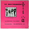 VARIOUS - 12 INSTRUMENTAL RARITIES