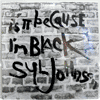 SYL JOHNSON - IS IT BECAUSE I'M BLACK
