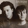 TEARS FOR FEARS - SONGS FROM THE BIG CHAIR