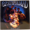 GRATEFUL DEAD - BUILT TO LAST