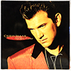 CHRIS ISAAK - WICKED GAME