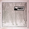 FOREST - SAME