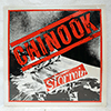CHINOOK - STORMIN