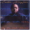 CURTIS MAYFIELD - NEVER SAY YOU CAN'T SURVIVE