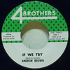 ANDREW BROWN - IF WE TRY / YOU OUGHT TO BE ASHAMED