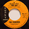 ESQUIRES - YOU SAY / STATE FAIR