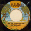LEE CHARLES - I NEVER WANT TO LOSE MY SWEET THING / GIRL YOU TURNED YOUR BACK ON MY LOVE