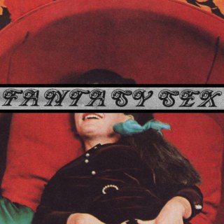 FANTASY SEX - SAME