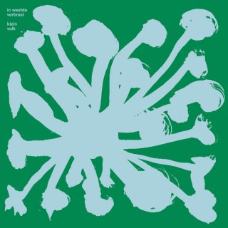 KLEIN VOLK - IN WEELDE VERBRAST