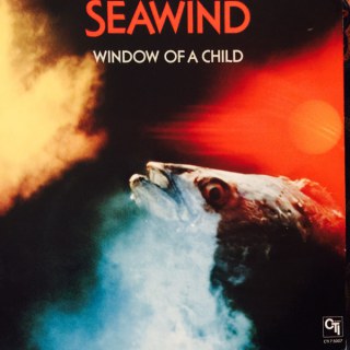 SEAWIND - WINDOW OF A CHILD / PROMO