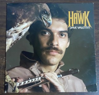 DAVE VALENTIN - THE HAWK