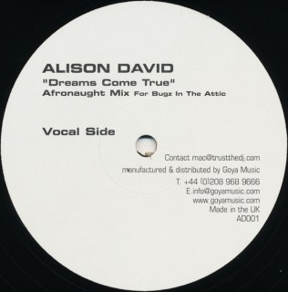 ALISON DAVID - DREAMS COME TRUE / AFRONAUGHT MIXES
