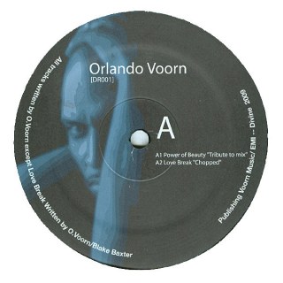 ORLANDO VOORN - POWER OF BEAUTY
