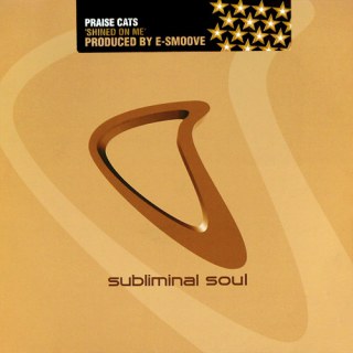 PRAISE CATS FEAT. ANDREA LOVE - SHINED ON ME