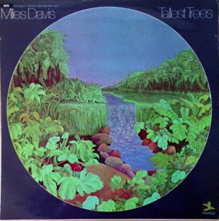 MILES DAVIS - TALLEST TREES