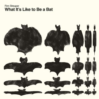 FINN STREUPER - WHAT IT'S LIKE TO BE A BAT