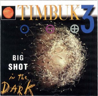 TIMBUK 3 - BIG SHOT IN THE DARK