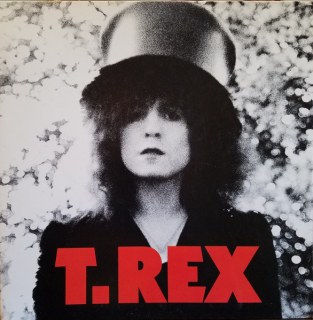 T. REX - THE SLIDER