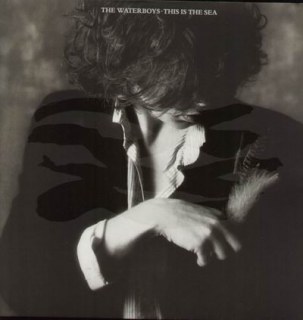 WATERBOYS - THIS IS THE SEA