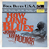 JOHN LEE HOOKER: HOW LONG BLUES
