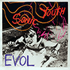 SONIC YOUTH: EVOL